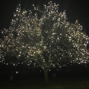 Meet your Posher, Lindsey